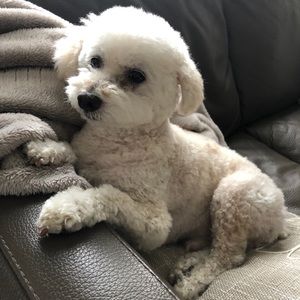 Meet your Posher, Sara